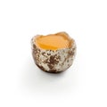 Broken quail egg Royalty Free Stock Photo