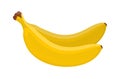 Isolated bunch of bananas. Royalty Free Stock Photo