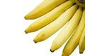 Isolated bunch of bananas on a white background with cut paths and full depth of field Royalty Free Stock Photo