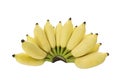 Isolated bunch of Cultivated banana in white background ,with clipping path Royalty Free Stock Photo
