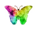 Isolated butterfly composed of colorful bokeh lights background