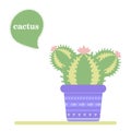 Isolated cactus in a pot. Icon of cactus flower. Desert plant.