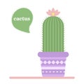 Isolated cactus in a pot. Icon of cactus flower. Desert plant.