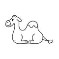 Isolated camel Belen draw vector illustration
