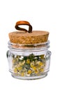 Isolated camomile tea in the glass pot