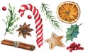 Isolated Candy Cane, Gingerbread, Anise Star, Branch Leaves, Red Berries, Holly Leaf, Cinnamon, Orange, Fir Tree Etc.