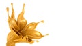 Isolated caramel flower splash. 3d illustration, 3d rendering