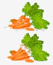 Isolated carrot character