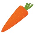 Isolated carrot flat design icon Vector