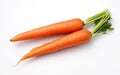 Isolated Carrots Display on White Background Royalty Free Stock Photo