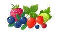 Isolated cartoon berries. Red raspberry, fresh gooseberry blueberry strawberry. Juicy seasonal fruits, summer autumn