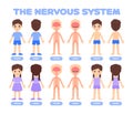 Isolated Cartoon Boy and Girl in Underwear and Human Nervous System. Front and Back View. Poster for Studying Anatomy, Biology Royalty Free Stock Photo