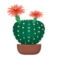 Isolated cartoon cactus in pot vectror illustration.