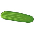 Isolated Cartoon Cucumber