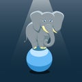 Isolated cartoon elephant on the blue ball on black background. Colorful sad elephant. Wild animal personage. Problem of