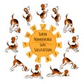 Isolated cartoon funny dog doing yoga position of Surya Namaskara