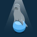 Isolated cartoon fur seal on the blue ball on black background. Colorful sad fur seal. Wild animal personage. Problem of