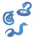 Isolated cartoon images of a cute light blue snake in different poses