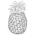 Isolated Cartoon Pineapple