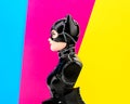 Female cat from the Marvel Universe printed on a 3D printer and hand-painted on a color background