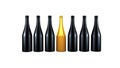 set of wine or champagne bottles isolated on a white background