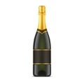 Isolated champagne bottle or glassware container