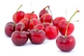 Isolated cherries Royalty Free Stock Photo