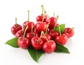 Isolated cherries Royalty Free Stock Photo