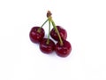 Isolated cherries. Three flying cherry fruits isolated on white background with clipping path Royalty Free Stock Photo