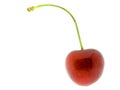 Isolated cherry 10