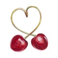 Isolated cherry. Heart shape from two cherries over white background. Royalty Free Stock Photo