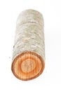 Isolated cherry tree round log