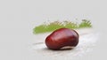 Isolated Chestnut fruit on textured backgound. Painting effect.