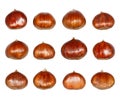 Isolated Chestnuts