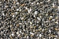 Isolated chia seeds forming background with their pattern of organization. Top view