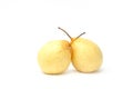 Isolated chinese pear asian pear, ya pear, korean fruit, nashi on the white backdrop Royalty Free Stock Photo