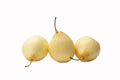 Isolated chinese pear asian pear, ya pear, korean fruit, nashi on the white backdrop Royalty Free Stock Photo