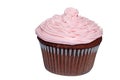 Isolated chocolate cupcake with pink frosting