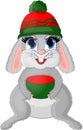 Isolated christmas bunny with giftbox