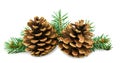 Isolated Christmas decor for your design. Two brown pine cones on background of green needles Royalty Free Stock Photo