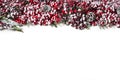 Isolated Christmas holiday decoration with snowy red berries and pine cones on white background, plant Christmas border Royalty Free Stock Photo