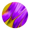 Colorful purple and yellow ink brush shinny design element