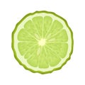 Isolated circle of juicy green color bergamot on white background. Realistic colored round slice.