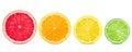 Isolated citrus. Fresh fruits sliced in a row on a white background Royalty Free Stock Photo