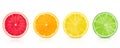 Isolated citrus. Fresh fruits sliced in a row on a white background Royalty Free Stock Photo