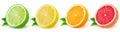 Isolated citrus. Fresh fruits sliced in a row on a white background Royalty Free Stock Photo