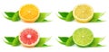 Isolated citrus fruit halves Royalty Free Stock Photo