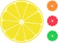 Isolated citrus fruit lemon lime orange grapefruit