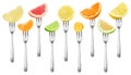 Isolated citrus pieces on forks collection