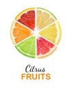 Isolated citrus segments